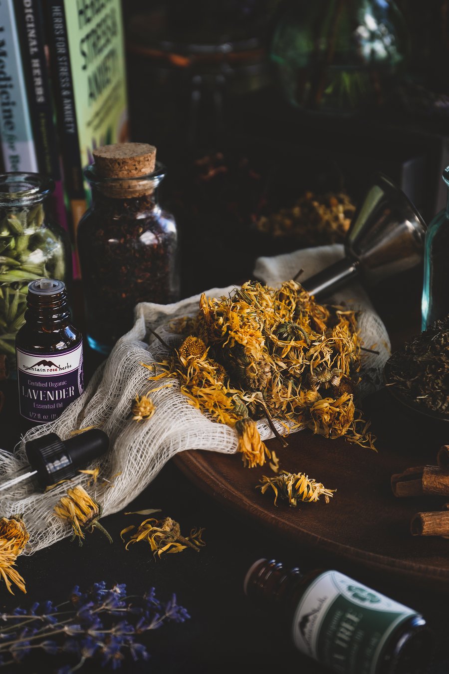 A Beginner's Guide to Herbalism